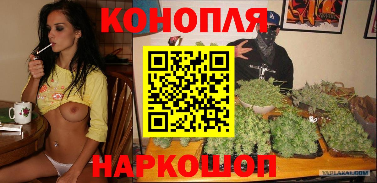 Бошки Шишки марихуана Ревда